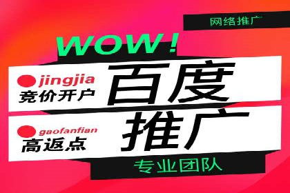 经典案例：SEM代运营服务公司的成功之路